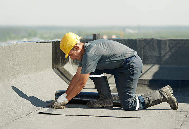 Best Insulation Maintenance and Repair in Lamar, TX